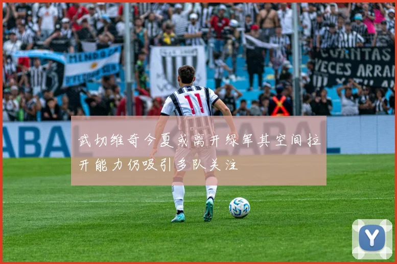 武切维奇今夏或离开绿军其空间拉开能力仍吸引多队关注