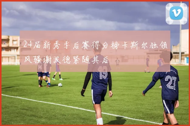 24届新秀季后赛得分榜卡斯尔独领风骚谢泼德紧随其后