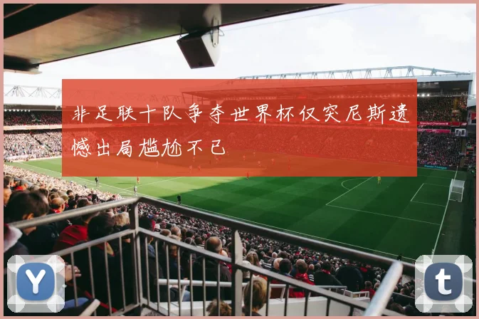 非足联十队争夺世界杯仅突尼斯遗憾出局尴尬不已